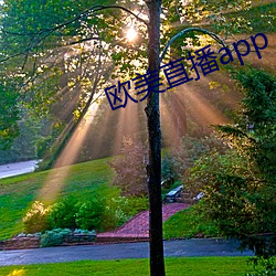 歐美直播app