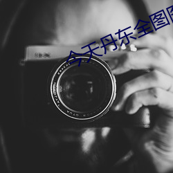 今天丹东全图图谜大全正版