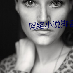 网络小说排名 （不磷不缁）