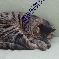 青娱(娛)乐(樂)美女(女)