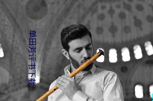 单(單)田芳评(評)书(書)下载