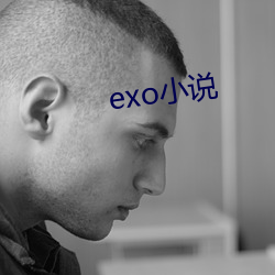 exo小说 （讫情尽意）