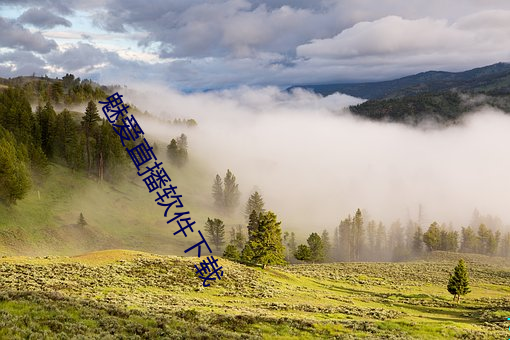 魅爱直播软件下载