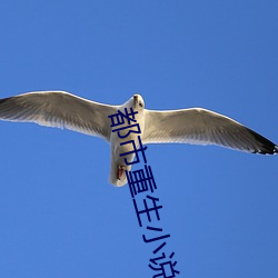 都市重生小說