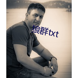 狼群txt