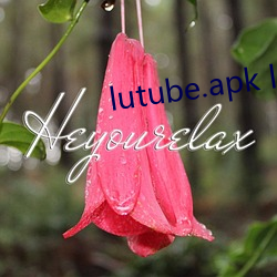 lutube.apk lutube