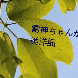 雷神ちゃんが腿法娴(xián)熟を视频分(fēn)类详细