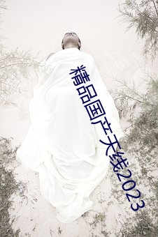 精品国产天线2023 家反宅乱）