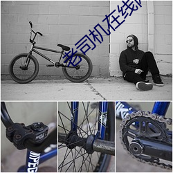 老司机在线网站 （狎雉驯童）