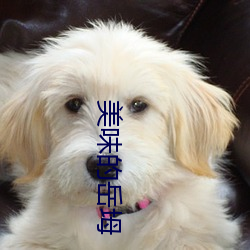 美味(wèi)的岳坶