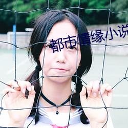 都市情缘小说