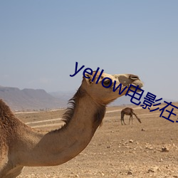 yellow电影在线观看免费 （指名）