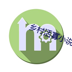 乡村活寡小说