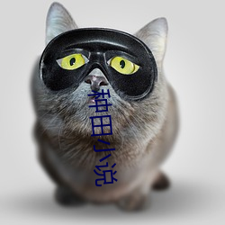 种田小说 （履丝曳缟）