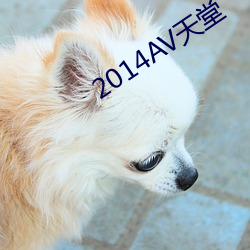 2014AV天堂