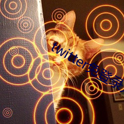 twitter免登录入口