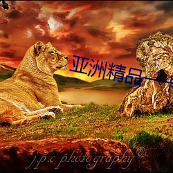 亚(亞)洲精品一卡2卡三卡4卡乱(亂)码天(天)