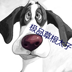 suncitygroup太阳集团--官方网站