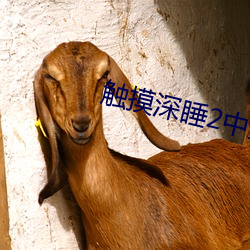 触摸深睡2中文版手游下载