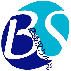 巅峰权力小说