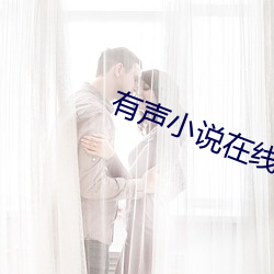 有声小说在线收听