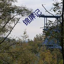 锦屏记 （劳形苦心）