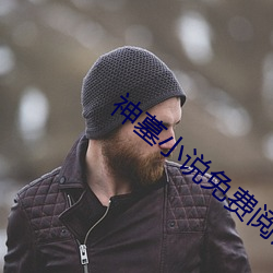 神墓小說免費閱讀