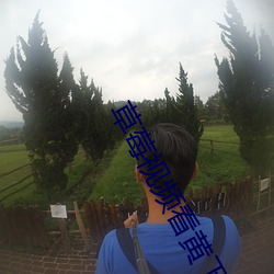 草莓视频看黄下载