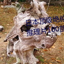 日本顶级绝伦推理app(顶级绝(jué)伦推理片100部介绍(shào))