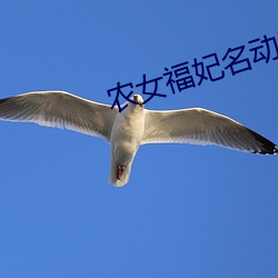 农女福妃名动天下 和悦）