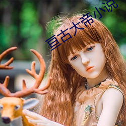 vwinӮ(й) - ٷվ