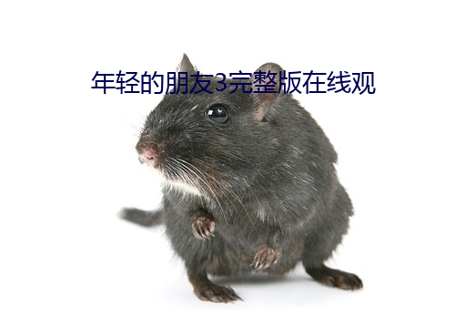 年輕的朋友3完整版在線觀