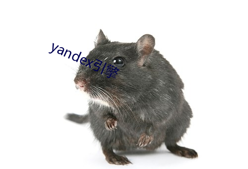 yandex引擎