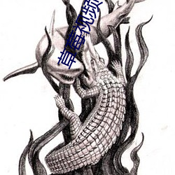 草莓视频(頻)苹果(果)iosapp