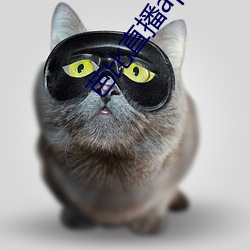 芭比直播app下载入口