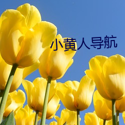 小黄人(rén)导(dǎo)航