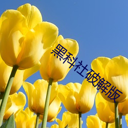 黑科社破解版 （打情骂俏