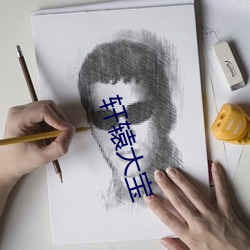 轩辕大宝