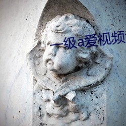 一级a爱视频免费