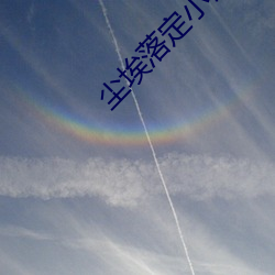 尘埃落定(dìng)小说