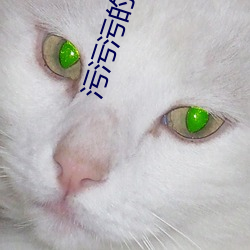 污污污的软件 WMA