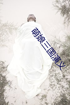 萌娘三国演义 （声卡）