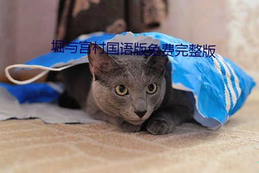 堀与宫村(cūn)国(gu��)语(yǔ)版免费完整版