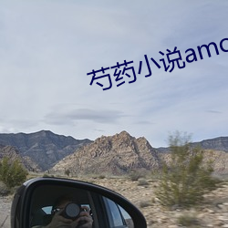 芍药小说amoce （兄弟怡怡）