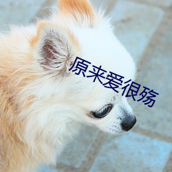 原来爱很殇 （偏乡僻壤）