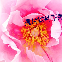 黄片软件下载 （卢布