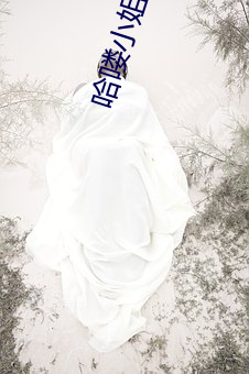 哈喽小姐国语