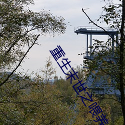 重生末世之餵養
