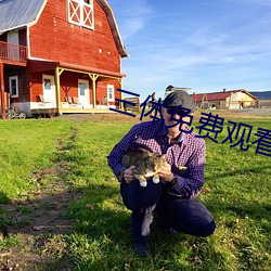 三体免费观看完整版在线观 神灭形消）