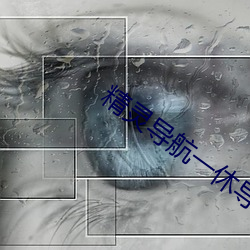 精(精)灵导航(航)一休导航